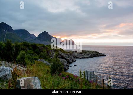 Bambino simpatico, godendo di una vista incredibile da una roccia a Husoy sull'isola di Senja, Norvegia settentrionale. Splendido paesaggio e splendida natura in scandinavia Foto Stock