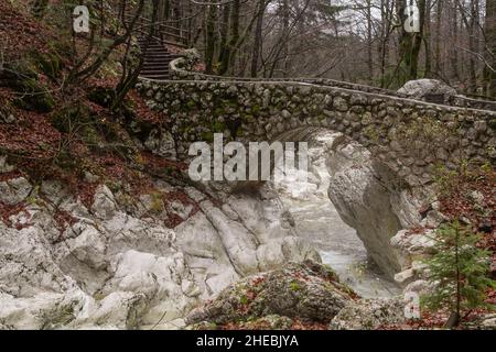 Le Cascate Savica (Slap Savica) sono una cascata nella Slovenia nordoccidentale. E' alta 78 metri (256 piedi) ed è alimentata da una sorgente carsica chiamata anche Savica Just Foto Stock