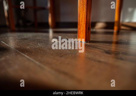 Pavimento in legno sporco con polvere, briciole e capelli sotto il tavolo da vicino | polvere, capelli e sporcizia sul pavimento marrone contro la luce del sole brillante Foto Stock