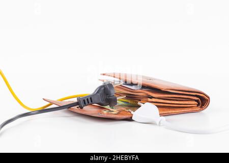 Cavi di alimentazione elettrica cavo di alimentazione collegato a un portafoglio aperto con Euro Money. Pagamento di bollette elettriche. Aumento dei costi dell'elettricità e dei costi Foto Stock