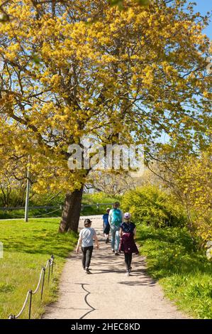 Primavera nella fortezza marina di Suomenlinna, Helsinki, Finlandia Foto Stock