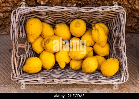 Limoni in un cestino di vimini, Santanyí, Maiorca, Maiorca, Isole Baleari, Spagna Foto Stock