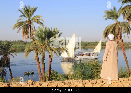 Egitto, Alto Egitto, valle del Nilo, El Kab, crociera tra Esna e Assuan da dahabieh Luxor con palme e una fella in primo piano Foto Stock