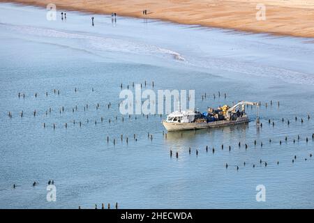 Francia, Vendee, la Faute sur Mer, barca da cozze in una fattoria di cozze e gente che cammina sulla spiaggia di Pointe d'Arcay (vista aerea) Foto Stock