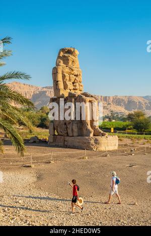 Egitto, Alto Egitto, Valle del Nilo, riva sinistra di Tebe, vicino a Luxor, i Colossi di Memnone classificato Patrimonio Mondiale dall'UNESCO Foto Stock