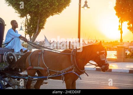 Egitto, Alto Egitto, Valle del Nilo, Luxor, carrozza trainata da cavalli lungo il Nilo al tramonto Foto Stock