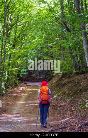 Francia, Ardeche, dintorni di Laveyrune, escursione sul sentiero Stevenson o GR 70 Foto Stock