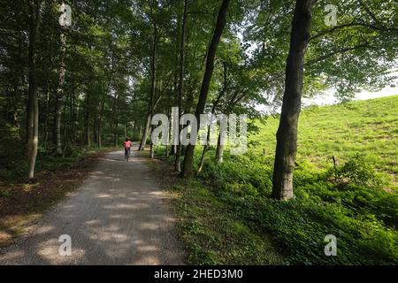 Bottrop, Renania Settentrionale-Vestfalia, Germania - ciclisti percorrono l'Emscher-Weg, un percorso ciclabile e pedonale lungo il fiume Emscher. L'Emscher è stato co Foto Stock