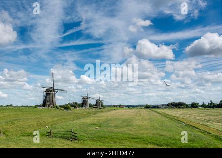 Tipico paesaggio olandese con mulini a vento sullo sfondo Foto Stock