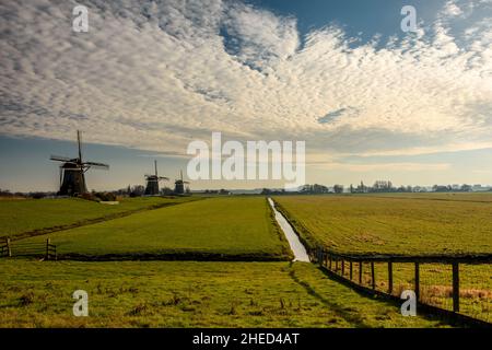 Tipico paesaggio olandese con mulini a vento sullo sfondo Foto Stock