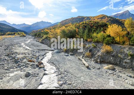 Francia, Hautes Alpes, Crots, Boscodon state Forest in autunno, il torrente di Boscodon e raving // Francia, Hautes-Alpes (05), Crots, Forêt domaniale Foto Stock