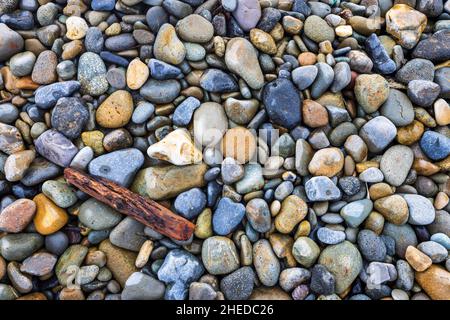 Spiaggia ciottoli e legno di driftwood su Newgale Sands, Pembrokeshire Coast National Park, South Wales Foto Stock