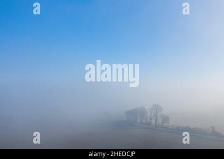 Questa foto di paesaggio è stata scattata in Europa, in Francia, nella regione del Centro, nel Loiret, nei pressi di Orleans, in inverno. Vediamo un boschetto di alberi nella nebbia, Foto Stock