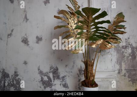 Fiore alla moda di Monstera con foglie dorate sullo sfondo di un muro di cemento grigio. Foto Stock