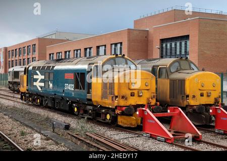 Direct Rail Services Classe 37 locomotive diesel-elettriche 37402 e 37424 stowed at York, UK il 30/12/2021. Foto Stock