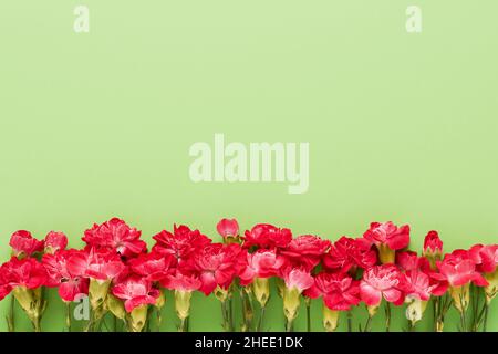 I fiori rossi del garofano bordano su uno sfondo verde. Disposizione piatta, spazio di copia per il testo Foto Stock