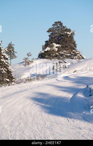 Helsinki / Finlandia - 10 GENNAIO 2022: Vista di una strada rurale finlandese in una giornata invernale soleggiata. Un grande albero coperto di neve sullo sfondo. Foto Stock