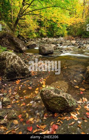 Indian Pass Brook in autunno, Adirondack Park, High Peaks Region, Essex County, New York Foto Stock