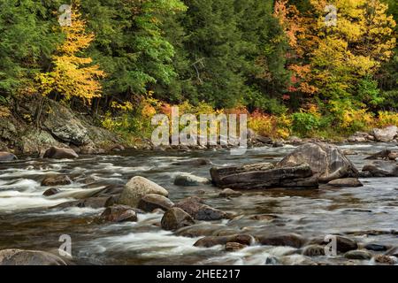 East Branch Sacandaga River in autunno, Adirondack Park, Hamilton County, New York Foto Stock