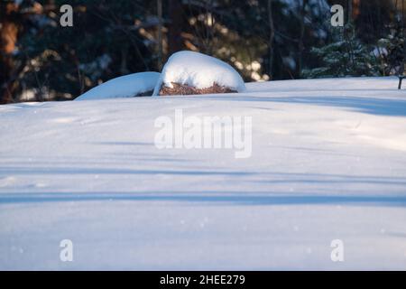 Helsinki / Finlandia - 10 GENNAIO 2022: Una scena rurale di sole giornata invernale con un blocco di granito coperto di neve. Foto Stock