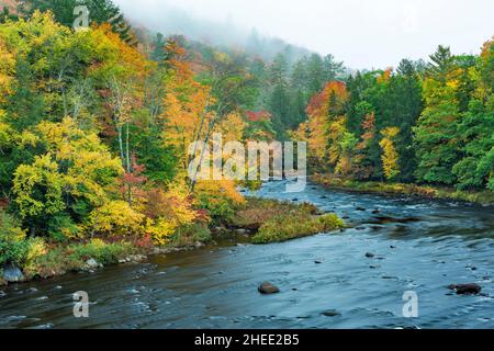 Mattinata di nebbia sul fiume East Branch Sacandaga in autunno, Adirondack Park, Hamilton County, New York Foto Stock