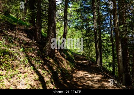 Questa foto di paesaggio è stata scattata in Europa, in Francia, nelle Alpi, verso Chamonix, in estate. Vediamo un sentiero escursionistico nel massiccio del Monte Bianco, sotto t. Foto Stock