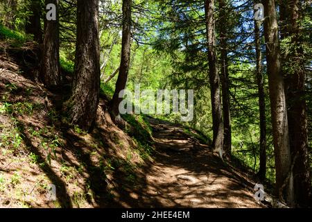 Questa foto di paesaggio è stata scattata in Europa, in Francia, nelle Alpi, verso Chamonix, in estate. Vediamo un sentiero escursionistico nel massiccio del Monte Bianco, sotto t. Foto Stock