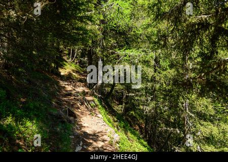 Questa foto di paesaggio è stata scattata in Europa, in Francia, nelle Alpi, verso Chamonix, in estate. Vediamo un sentiero escursionistico nel massiccio del Monte Bianco, sotto t. Foto Stock