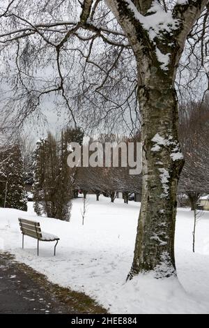 Panca coperta di neve e alberi a Vancouver, British Columbia, Canada Foto Stock