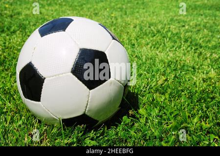 Pallone da calcio classico su erba verde brillante sul campo da calcio. Sport d'estate. Spazio di copia. Foto Stock
