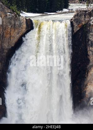 Le alte cascate di Yellowstone nel fiume Yellowstone, il parco nazionale di Yellowstone, Wyoming, USA. Foto Stock