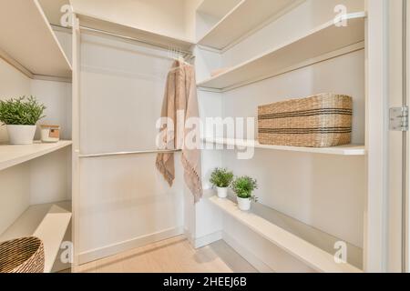 armadio moderno con piccole piante decorative in vaso verde e cestini in vimini vicino a vestito appeso su rack in metallo in appartamento luminoso Foto Stock