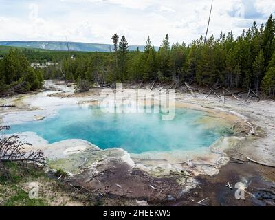 Emerald Spring, nell'area di Norris Geyser Basin, Yellowstone National Park, Wyoming, USA. Foto Stock