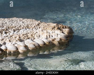 Dettaglio del geyser solitario, nella zona di Norris Geyser Basin, Yellowstone National Park, Wyoming, USA. Foto Stock