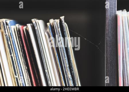 Scaffale in legno pieno di dischi in vinile. Collezione Vintage con un cobbweb su di essa. Foto Stock