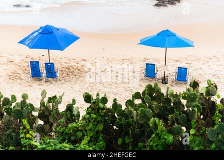 Ombrellone blu sulla spiaggia di Paciencia nel quartiere Rio Vermelho a Salvador, Bahia, Brasile. Foto Stock