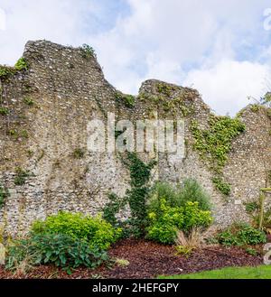 I resti e le rovine delle mura medievali della città e le merlature da parte del castello vescovile di Wolvesey al Weirs a Winchester, Hampshire, Inghilterra Foto Stock