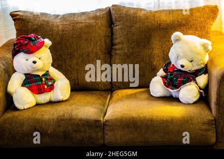 Due orsacchiotti bianchi con Plaid seduti sul sedile Love Foto Stock