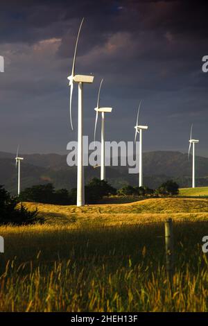 La fonte di energia sostenibile sta diventando popolare giorno dopo giorno, mentre il governo e le imprese private fanno passi avanti per aiutare il settore a svilupparsi. Foto Stock