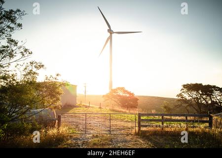 La fonte di energia sostenibile sta diventando popolare giorno dopo giorno, mentre il governo e le imprese private fanno passi avanti per aiutare il settore a svilupparsi. Foto Stock