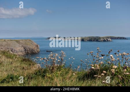 Vista dell'Isola di Caldey dal Pembrokeshire Coast Path vicino Penally, Galles Foto Stock