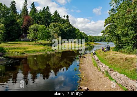 Louth Oughter nel Killykeen Forest Park durante l'estate, in Irlanda Foto Stock