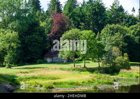 Louth Oughter nel Killykeen Forest Park durante l'estate, in Irlanda Foto Stock