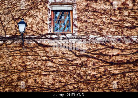 Finestra a mosaico in una cornice di legno sulla parete rifinita con pittoreschi vitigni, tronco, autunno, lampione. Foto Stock