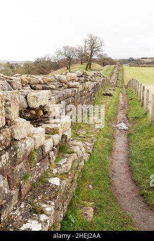 Il sentiero del Vallo di Adriano corre lungo il Vallo di Adriano a Willowford in Cumbria, Inghilterra. Foto Stock