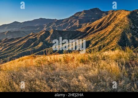 Massiccio di Four Peaks all'alba, cespugli di chaparral, vista da Four Peaks Road (FS 143), Mazatzal Mountains, Tonto National Forest, Arizona, USA Foto Stock