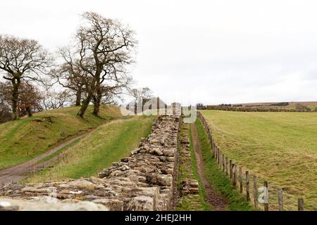 Un sentiero corre lungo il Vallo di Adriano a Willowford in Cumbria, Inghilterra. Foto Stock