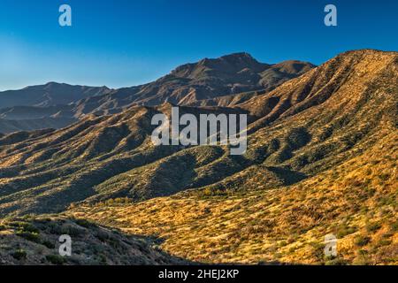 Massiccio di Four Peaks all'alba, cespugli di chaparral, vista da Four Peaks Road (FS 143), Mazatzal Mountains, Tonto National Forest, Arizona, USA Foto Stock