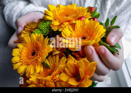 Un bouquet di gerberi gialli e arancioni brillanti, crisantemi e bacche rosse nelle palme delle mani è tenuto da qualcuno in una maglia bianca intima sw Foto Stock