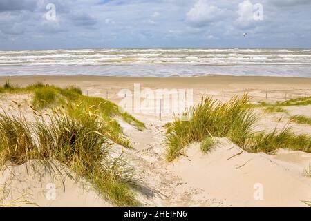 Vista panoramica della duna di sabbia sulla costa del mare del Nord vicino a Wijk aan Zee, provincia Noord Holland, Paesi Bassi. Scenario paesaggistico di natura europea. Foto Stock